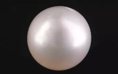 South Sea Pearl - 7.88 Carat Prime Quality SSP-8871