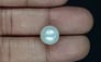 South Sea Pearl - 7.98 Carat Prime Quality SSP-8823