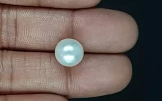 South Sea Pearl - 7.99 Carat Prime Quality SSP-8857
