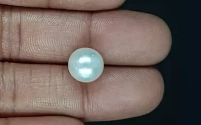 South Sea Pearl - 7.99 Carat Prime Quality SSP-8857
