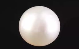 South Sea Pearl - 7.99 Carat Prime Quality SSP-8857