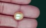 South Sea Pearl - 8.03 Carat Prime Quality SSP-8898