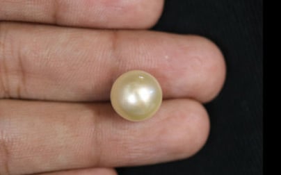 South Sea Pearl - 8.28 Carat Fine Quality SSP-8597