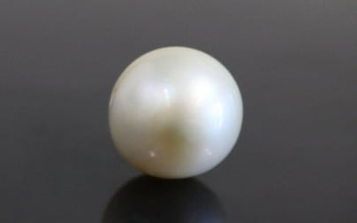 South Sea Pearl - 8.28 Carat Fine Quality SSP-8597