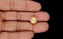 South Sea Pearl - 8.40 Carat Prime Quality SSP-9108