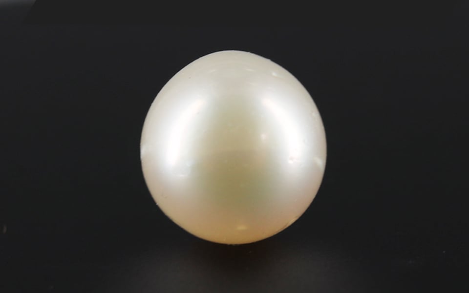 South Sea Pearl - 8.51 Carat Prime Quality SSP-8664