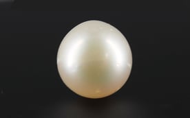 South Sea Pearl - 8.51 Carat Prime Quality SSP-8664