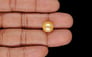 South Sea Pearl - 8.54 Carat Prime Quality SSP-9106