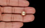 South Sea Pearl - 8.58 Carat Limited Quality SSP-9092
