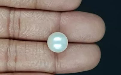South Sea Pearl - 8.66 Carat Prime Quality SSP-8840