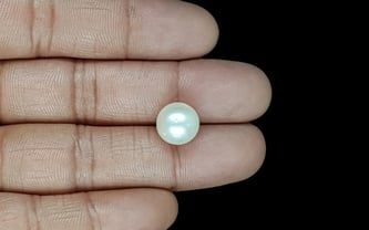 South Sea Pearl - 8.67 Carat Prime Quality SSP-8872