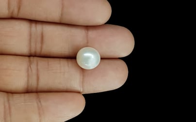 South Sea Pearl - 8.78 Carat Prime Quality SSP-8661