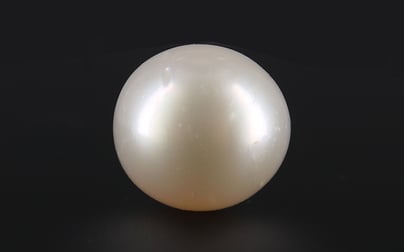 South Sea Pearl - 8.78 Carat Prime Quality SSP-8661