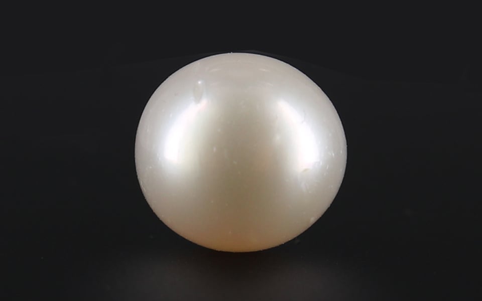 South Sea Pearl - 8.78 Carat Prime Quality SSP-8661