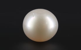 South Sea Pearl - 8.78 Carat Prime Quality SSP-8661