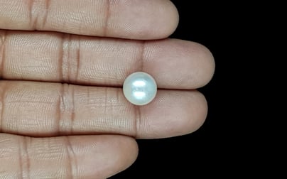 South Sea Pearl - 9.04 Carat Prime Quality SSP-8843
