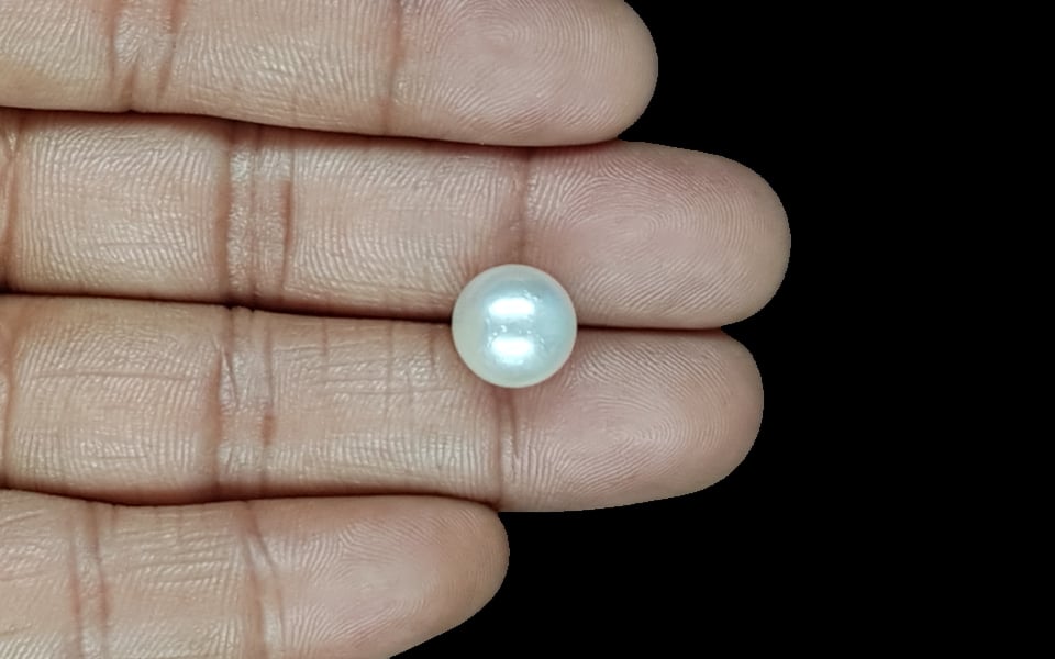 South Sea Pearl - 9.04 Carat Prime Quality SSP-8843