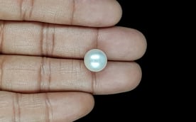 South Sea Pearl - 9.04 Carat Prime Quality SSP-8843
