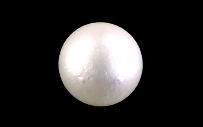 South Sea Pearl - 9.04 Carat Prime Quality SSP-8843