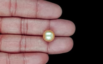 South Sea Pearl - 9.14 Carat Prime Quality SSP-8891