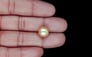 South Sea Pearl - 9.14 Carat Prime Quality SSP-8891
