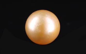 South Sea Pearl - 9.14 Carat Prime Quality SSP-8891