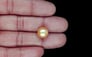 South Sea Pearl - 9.21 Carat Prime Quality SSP-8893