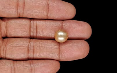South Sea Pearl - 9.41 Carat Limited Quality SSP-9094