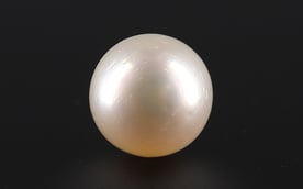 South Sea Pearl - 9.64 Carat Prime Quality SSP-8659 