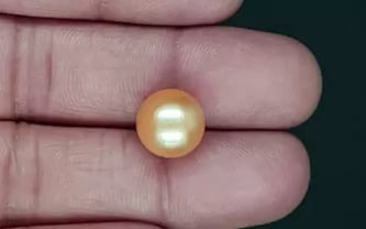 South Sea Pearl - 9.75 Carat Prime Quality SSP-8883