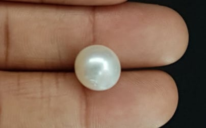 South Sea Pearl - 9.77 Carat Prime Quality SSP-8658