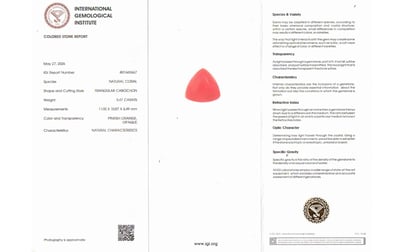 tc-5389-certificate-tc-5389-41593