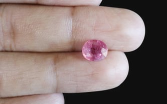 Thailand Ruby - 2.67 Carat Prime Quality BR-7240