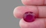 Thailand Ruby - 7.64 Carat Prime Quality BR-7014