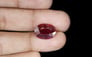 Thailand Ruby - 8.34 Carat Prime Quality BR-7211