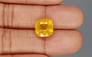 Thailand Yellow Sapphire - 8.68 Carat Fine Quality BYSGF-12028