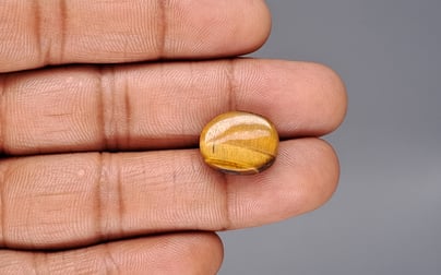 Tiger's Eye - 10.3 Carat Limited Quality TE-15086