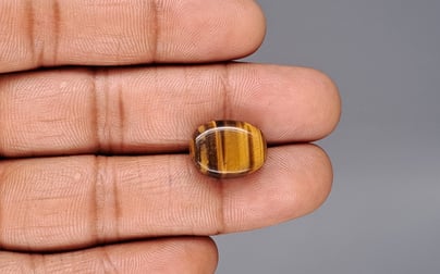 Tiger's Eye - 10.31 Carat Limited Quality TE-15092