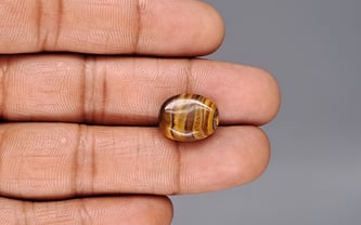 Tiger's Eye - 10.5 Carat Limited Quality TE-15087