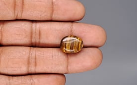 Tiger's Eye - 10.5 Carat Limited Quality TE-15087