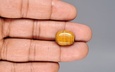 Tiger's Eye - 11.44 Carat Limited Quality TE-15077