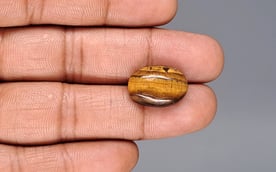 Tiger's Eye - 11.79 Carat Prime Quality TE-15076