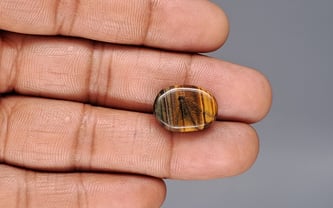 Tiger's Eye - 12.21 Carat Limited Quality TE-15079