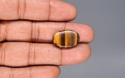 Tiger's Eye - 12.73 Carat Limited Quality TE-15075