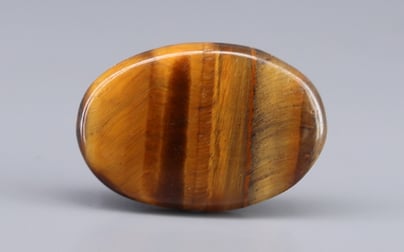 Tiger's Eye - 12.73 Carat Limited Quality TE-15075