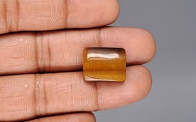 Tiger's Eye - 13.06 Carat Limited Quality TE-15085
