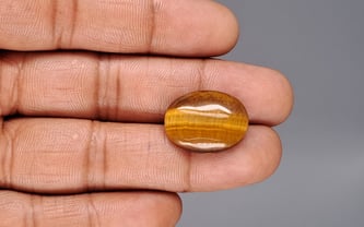Tiger's Eye - 13.84 Carat Limited Quality TE-15089