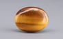 Tiger's Eye - 13.84 Carat Limited Quality TE-15089