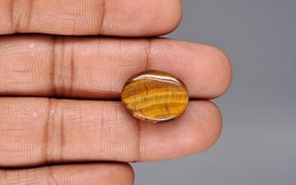 Tiger's Eye - 14.11 Carat Limited Quality TE-15078