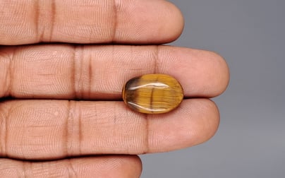 Tiger's Eye - 8.88 Carat Limited Quality TE-15093